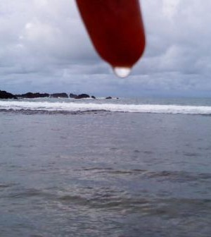 Mutiara Salaf 8 Dunia itu Sedikit