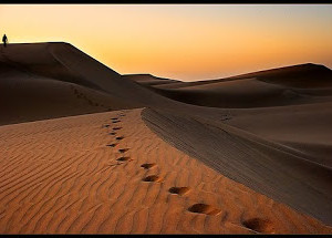 Mutiara Salaf 36 Ilustrasi Keikhlasan Para Salaf