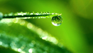 yuk-perbanyak-istighfar