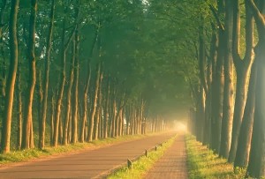 menanti-kemudahan-setelah-kesulitan