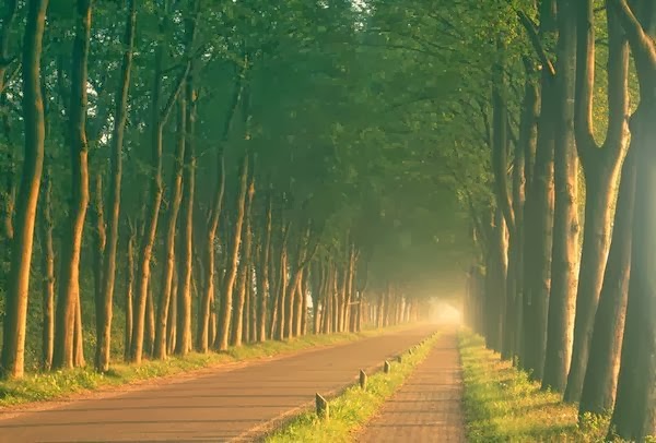 menanti-kemudahan-setelah-kesulitan