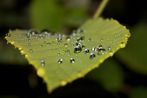 Menata adab dan akhlaq sebelum jauh melangkai
