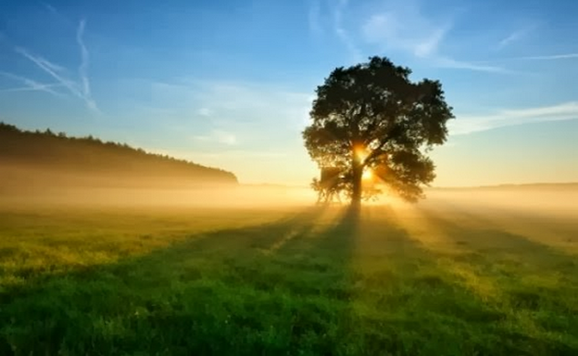 Kaifiah Sholat Tobat1